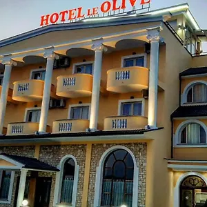 Hotel Le Olive ***